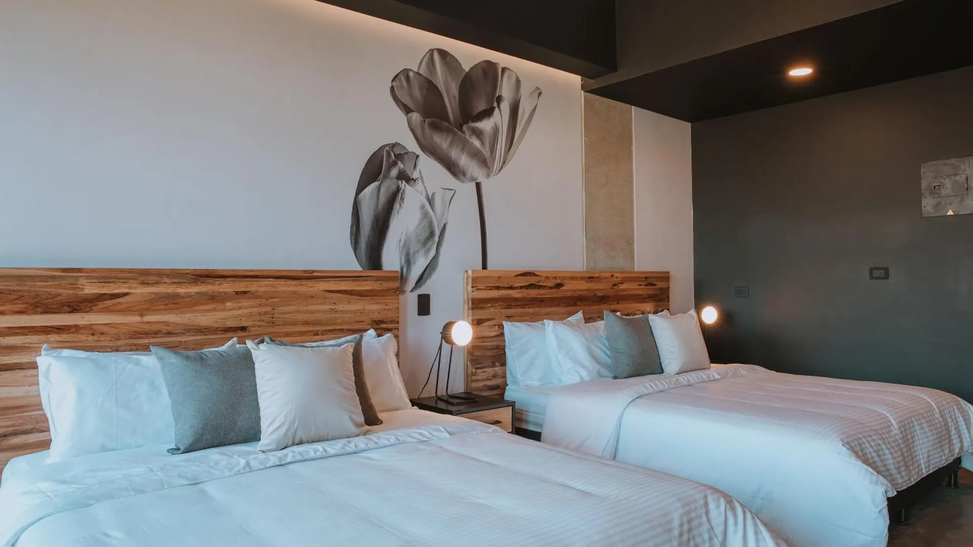 Hotel 3450 Living Lofts Medellín 0*,  Colombia